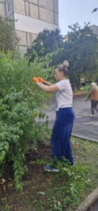 Обрізка дерев і кущів