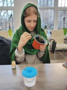 Розпис підвазонники з кактусами