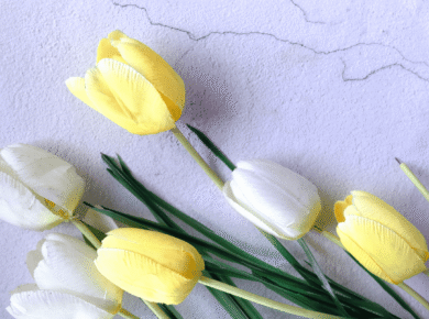 АФІША ТИЖНЯ