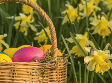 АФІША ТИЖНЯ